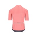 Q36.5 Dottore Pro Pink Giro Jersey