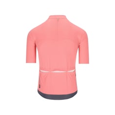 Maillot Q36.5 Dottore Pro Rosa Giro 2