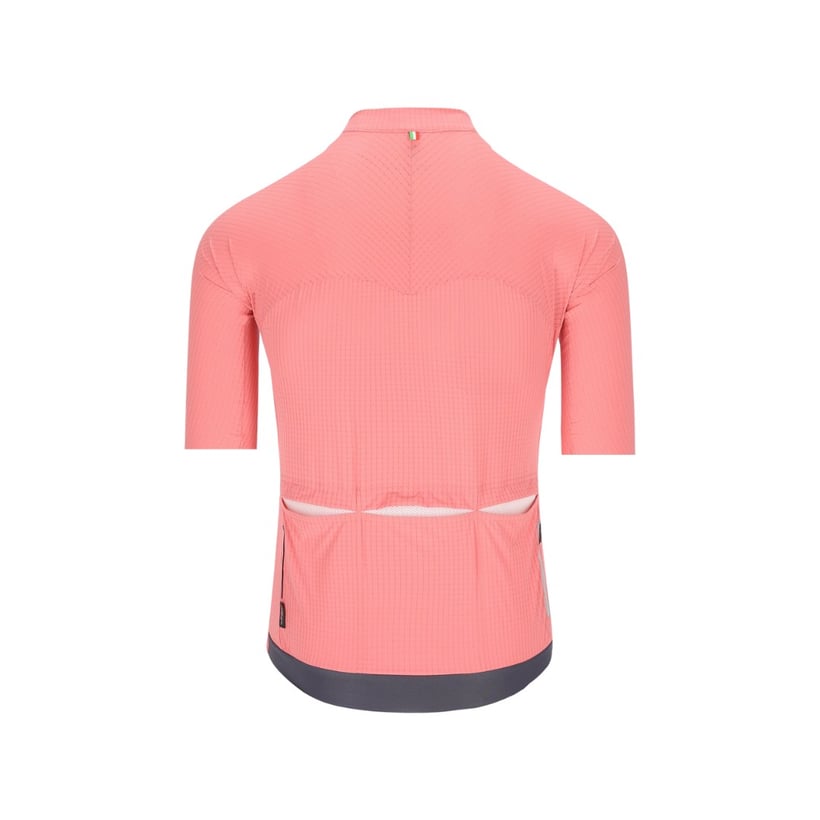 Maillot Q36.5 Dottore Pro Rosa Giro
