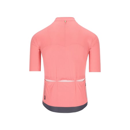 Maillot Q36.5 Dottore Pro Rosa Giro