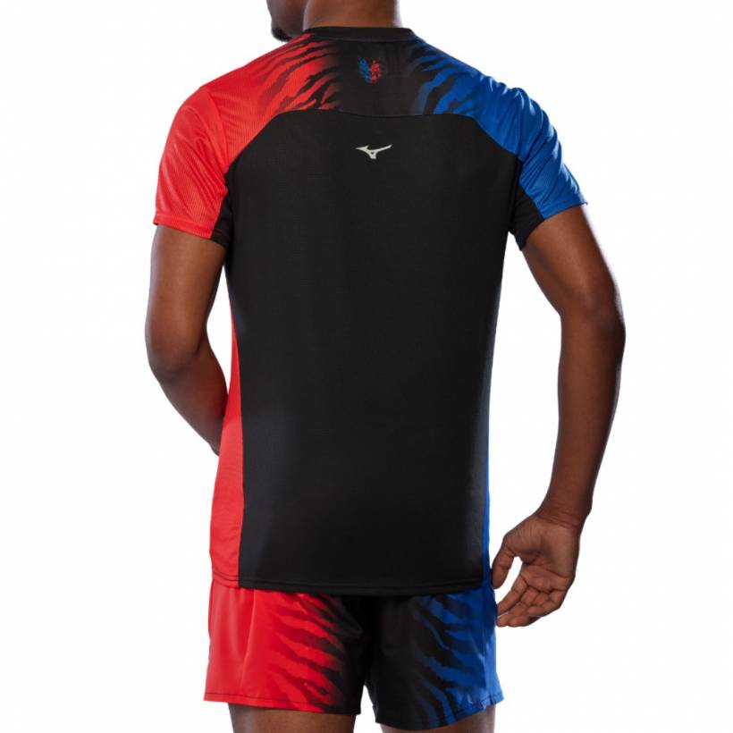 T-shirt Mizuno DryAeroFlow Graphic Tee ONI...