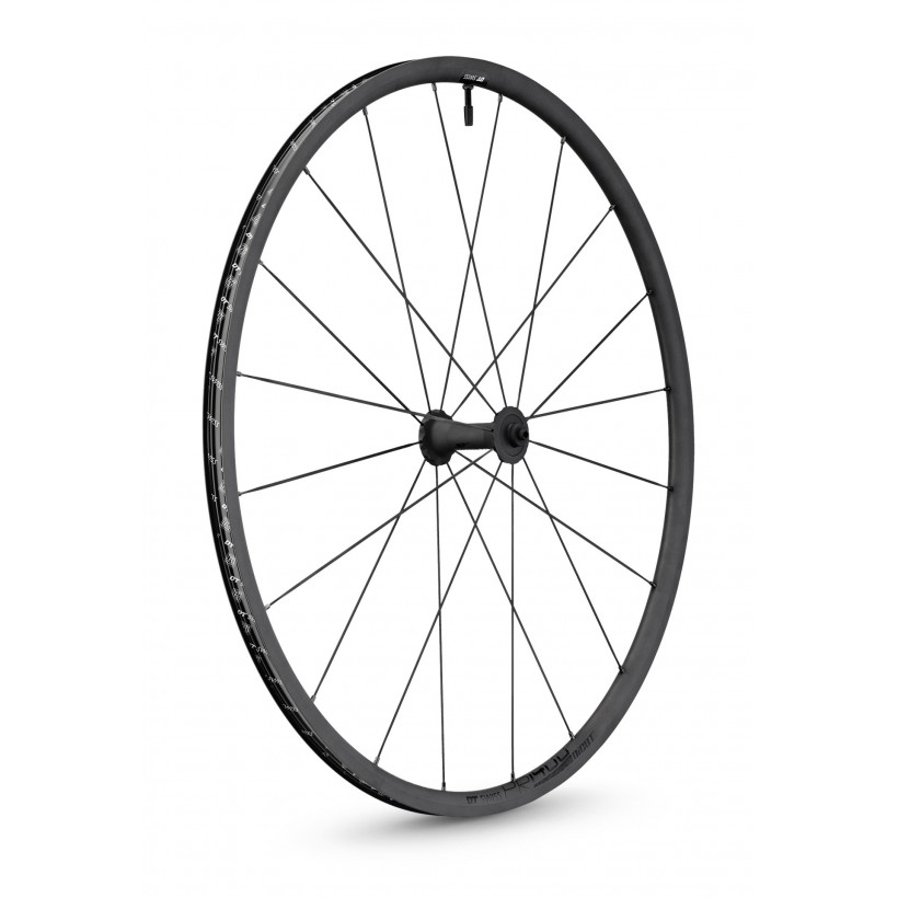 Front Wheel DT Swiss PR 1400 DICUT OXIC 21 5/100 mm