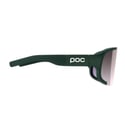 Gafas POC Aspire Cat. 3 Verde Lente Gris