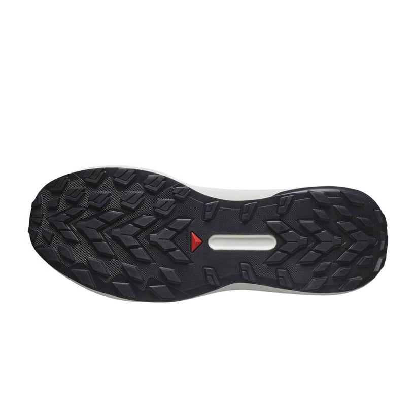 Salomon Genesis Wit Blauwe SS25 Sneakers