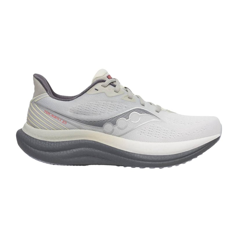 Chaussures Saucony Triumph 23 Gris Beige AW25