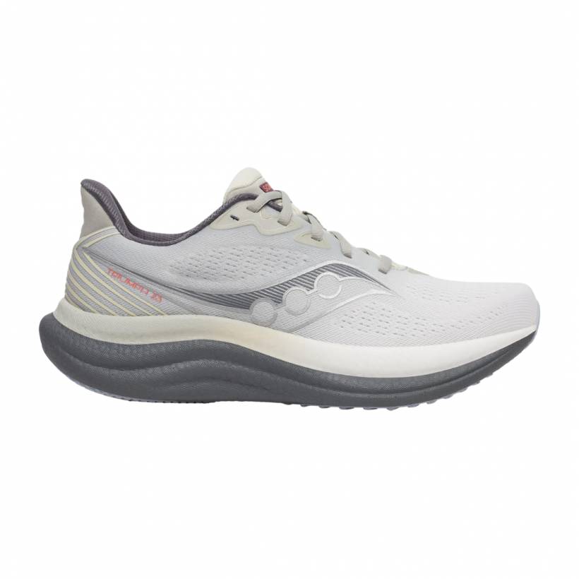 Saucony Triumph 23 Grijs Beige AW25 Sneakers