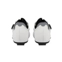 Q36.5 Gregarius Road Shoes White