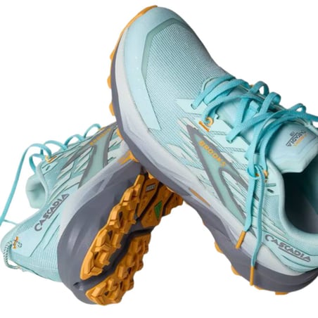 Chaussures Brooks Cascadia 19 Bleu Gris AW25 Femme