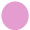 Rosa (3)